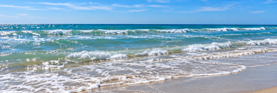 Sunny Beach